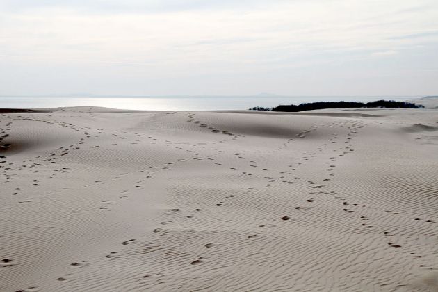 Wanderdünen - Góry Białe - im Słowiński National Park bei Łeba Wanderdünen - Góry Białe - im Słowiński National Park bei Łeba