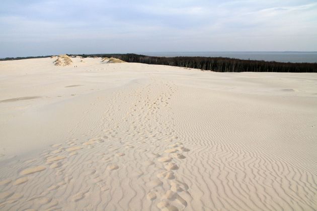 Wanderdünen - Góry Białe - im Słowiński National Park bei Łeba Wanderdünen - Góry Białe - im Słowiński National Park bei Łeba