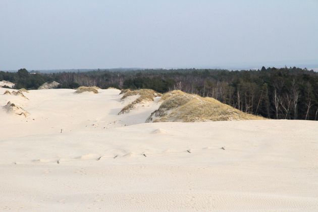 Wanderdünen - Góry Białe - im Słowiński National Park bei Łeba Wanderdünen - Góry Białe - im Słowiński National Park bei Łeba
