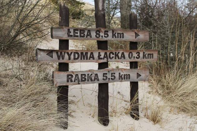 Wanderdünen - Góry Białe -  im  Słowiński National Park bei Łeba