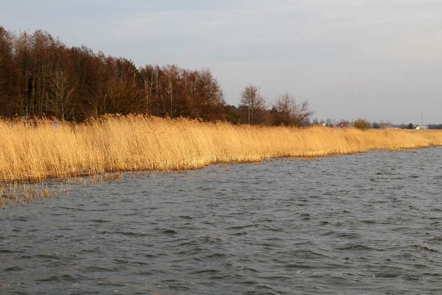 Jezioro Łebsko, der Lebasee - Słowiński National Park