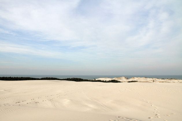 Wanderdünen - Góry Białe - im Słowiński National Park bei Łeba Wanderdünen - Góry Białe - im Słowiński National Park bei Łeba