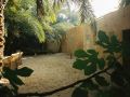  Die Oase Siwa in der Libyschen Wüste - Garten unserer Unterkunft in Siwa
