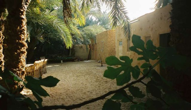 Die Oase Siwa in der Libyschen Wüste - Garten unserer Unterkunft in Siwa Die Oase Siwa in der Libyschen Wüste - Garten unserer Unterkunft in Siwa