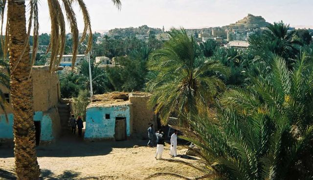 Das Dorf Aghurmi in der Oase Siwa, ägyptische Sahara Das Dorf Aghurmi in der Oase Siwa, ägyptische Sahara