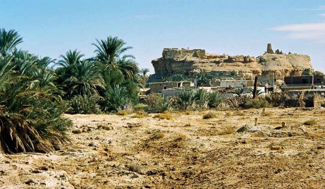 Der Burgberg von Aghurmi mit dem Amun- oder Orakle-Tempel - Oase Siwa in der Libyschen Wüste