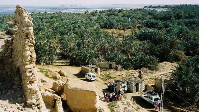 Aghurmi und Palmgärten - Oase Siwa in der Libyschen Wüste Aghurmi und Palmgärten - Oase Siwa in der Libyschen Wüste