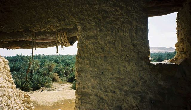 In der Moschee von Aghurmi - Oase Siwa in der Libyschen Wüste In der Moschee von Aghurmi - Oase Siwa in der Libyschen Wüste
