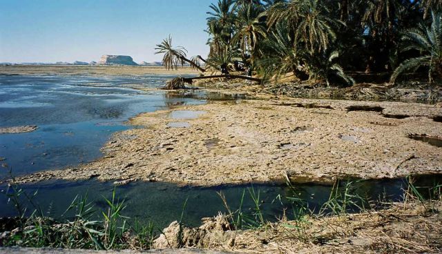 Fatnas Island und Lake Siwa - Oase Siwa in der Libyschen Wüste Fatnas Island und Lake Siwa - Oase Siwa in der Libyschen Wüste