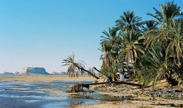 Fatnas Island und Lake Siwa - Oase Siwa in der Libyschen Wüste Fatnas Island und Lake Siwa - Oase Siwa in der Libyschen Wüste