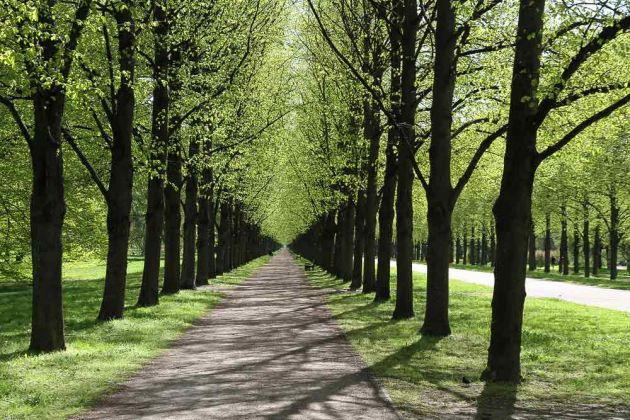 Herrenhäuser Gärten Hannover Herrenhäuser Gärten Hannover