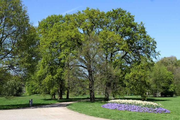 Herrenhäuser Gärten Hannover Herrenhäuser Gärten Hannover