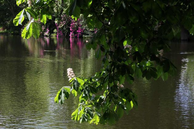 Kloster Loccum Kloster Loccum