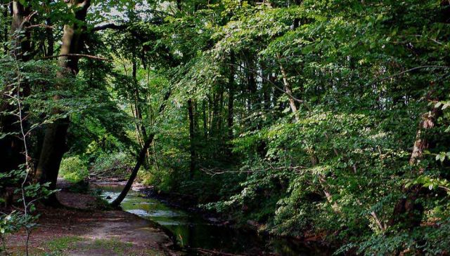 Kloster Loccum Kloster Loccum