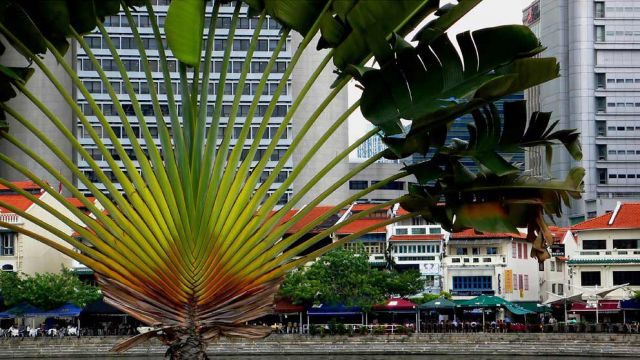 Weltstädte - Singapur - Waterfront and Quays Weltstädte - Singapur - Waterfront and Quays