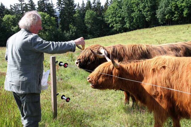 Roland und seine Highland-Rinder auf dem Bio-Bauernhof Kowalowe Skaly