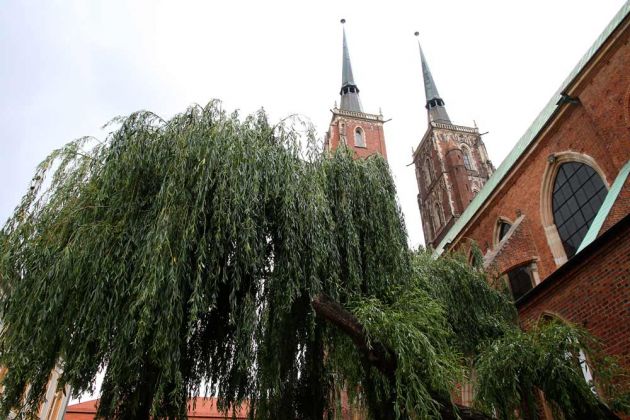 Städtereise Breslau - Dominsel Städtereise Breslau - Dominsel