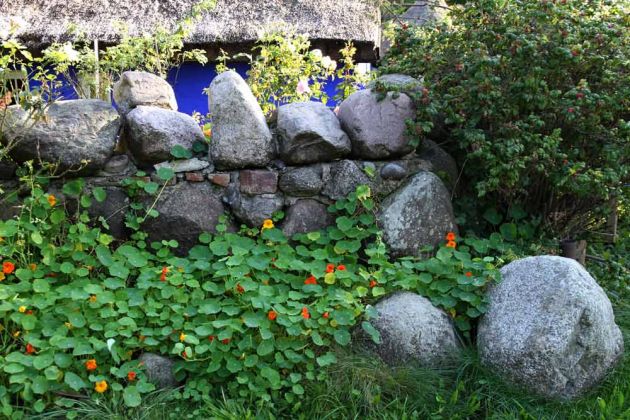 Vitte, Insel Hiddensee - Die Blaue Scheune, ein Künstlerhaus in Vitte Vitte, Insel Hiddensee - Die Blaue Scheune, ein Künstlerhaus in Vitte