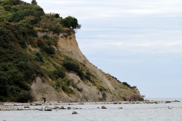 Insel Hiddensee - Steilküste am Enddorn Insel Hiddensee - Steilküste am Enddorn
