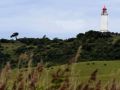 Leuchttürme deutsche Ostseeküste - Leuchtturm Dornbusch auf Hiddensee