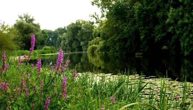Ausflugsziele Niedersachsen - Wunstorf-Luthe - der Luther See Ausflugsziele Niedersachsen - Wunstorf-Luthe - der Luther See