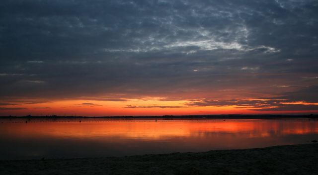 Dümmer See  -Sonnenuntergangs-Stimmung am Dümmer