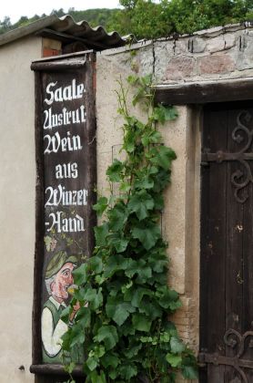 Freyburg an der Unstrut - am Weingut Pawis Freyburg an der Unstrut - am Weingut Pawis