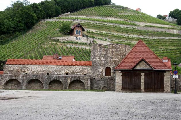 Freyburg an der Unstrut - Weinberg Freyburg an der Unstrut - Weinberg