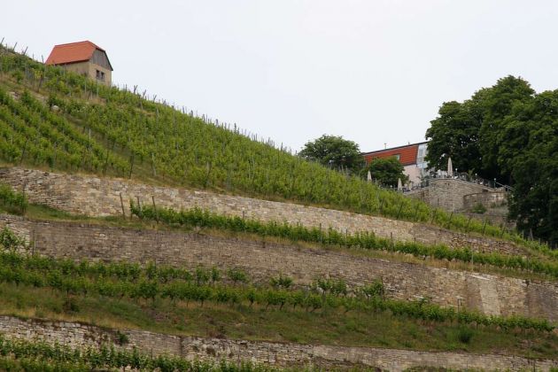 Freyburg an der Unstrut - Weinberg oberhalb der Stadt mit Berghotel Edelacker Freyburg an der Unstrut - Weinberg oberhalb der Stadt mit Berghotel Edelacker