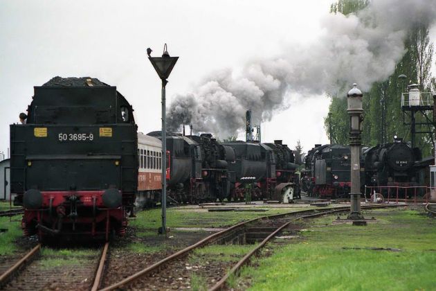 Dampflok Baureihe 50 - Einheits-Güterzuglok 50 3695