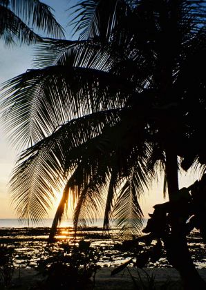 Sonnenuntergang auf der Insel Ko Lanta - pure tropical feelings