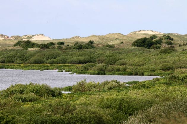 Die holländische Nordseeinsel Texel - De Geul Die holländische Nordseeinsel Texel - De Geul