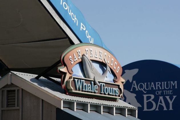 Pier 39 - Fishermans Wharf, San Francisco Pier 39 - Fishermans Wharf, San Francisco