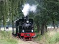 Die Dampflok Spreewald mit dem Museumszug vor Heiligenberg - Museums-Eisenbahn Bruchhausen-Vilsen