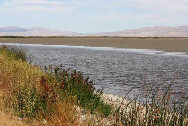 Bear River Migratory Bird Refuge - bei Brigham City, Utah, USA Bear River Migratory Bird Refuge - bei Brigham City, Utah, USA