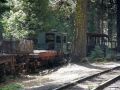 Yosemite Mountain Sugar Pine Railroad