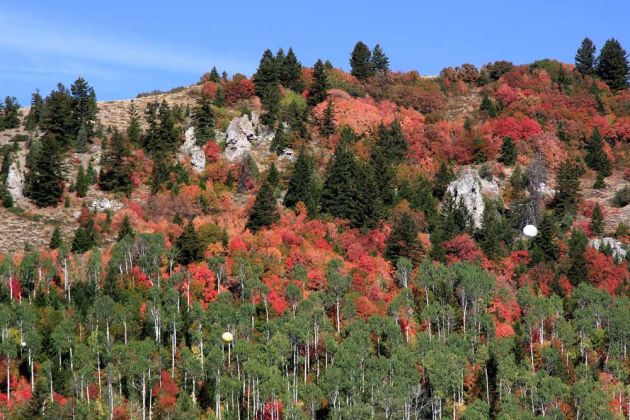 Indian Summer am Palisades Reservoir - Bonneville County, Idaho Indian Summer am Palisades Reservoir - Bonneville County, Idaho