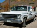 Chevrolet Pickup Truck - Oldtimer