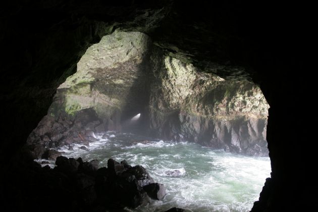 Sea Lions Cave - nördlich von Florence, Lane County, Oregon