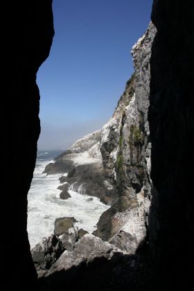 Sea Lions Cave - nördlich von Florence, Lane County, Oregon Sea Lions Cave - nördlich von Florence, Lane County, Oregon