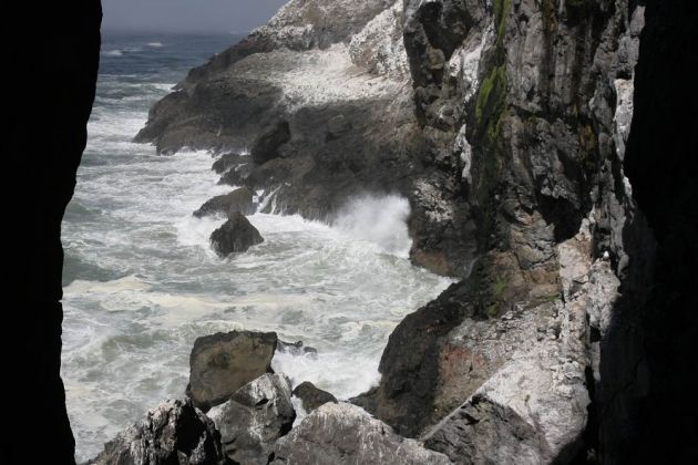 Sea Lions Cave - nördlich von Florence, Lane County, Oregon Sea Lions Cave - nördlich von Florence, Lane County, Oregon