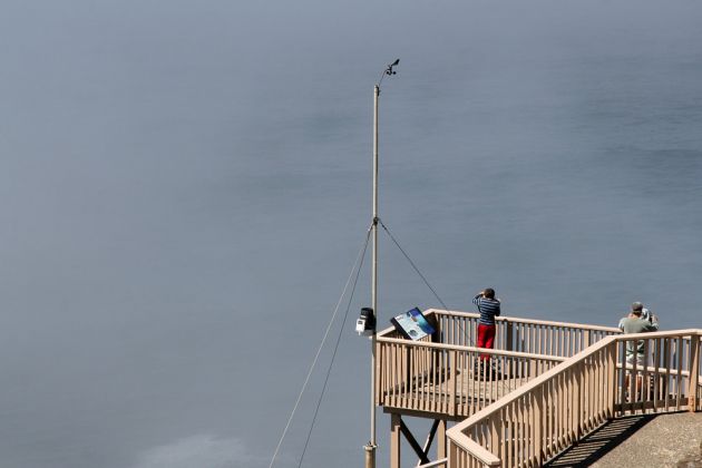 Sea Lions Cave - nördlich von Florence, Lane County, Oregon Sea Lions Cave - nördlich von Florence, Lane County, Oregon