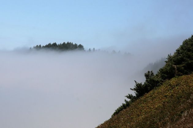Sea Lions Cave - nördlich von Florence, Lane County, Oregon Sea Lions Cave - nördlich von Florence, Lane County, Oregon