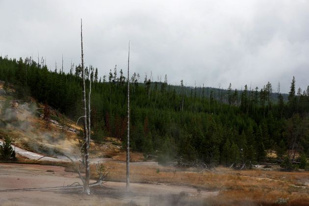 Yellowstone National Park - Artists Paintpot Trail Yellowstone National Park - Artists Paintpot Trail
