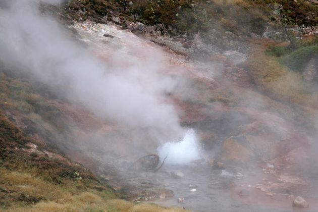 Yellowstone National Park - Blood Geyser Yellowstone National Park - Blood Geyser