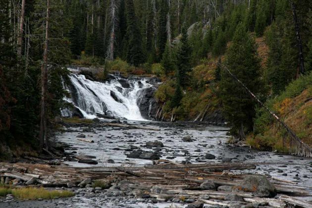 Yellowstone National Park - Lewis Falls Yellowstone National Park - Lewis Falls