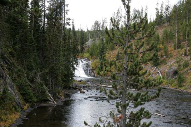 Yellowstone National Park - Lewis Falls Yellowstone National Park - Lewis Falls