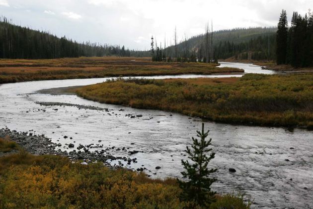 Yellowstone National Park - Lewis River Yellowstone National Park - Lewis River
