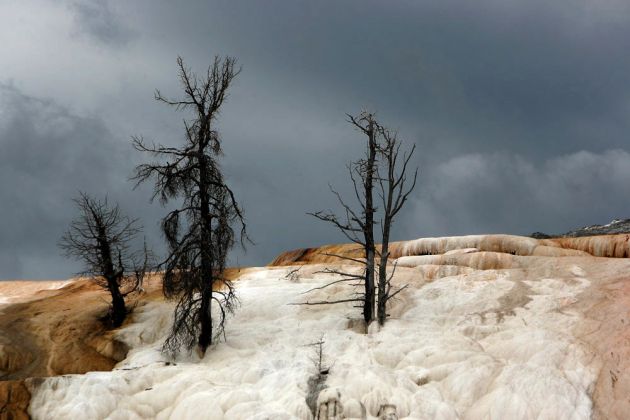 Yellowstone National Park - Mammoth Hot Springs Terraces Yellowstone National Park - Mammoth Hot Springs Terraces