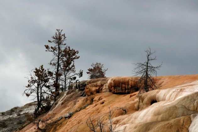 Yellowstone National Park - Mammoth Hot Springs Terraces Yellowstone National Park - Mammoth Hot Springs Terraces